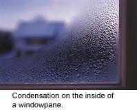 windowpane windowpane